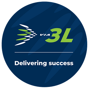 delivering success logo