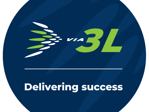 delivering success logo