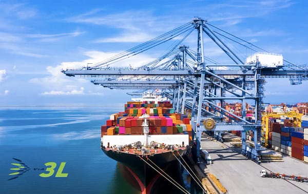 via3l container ship2