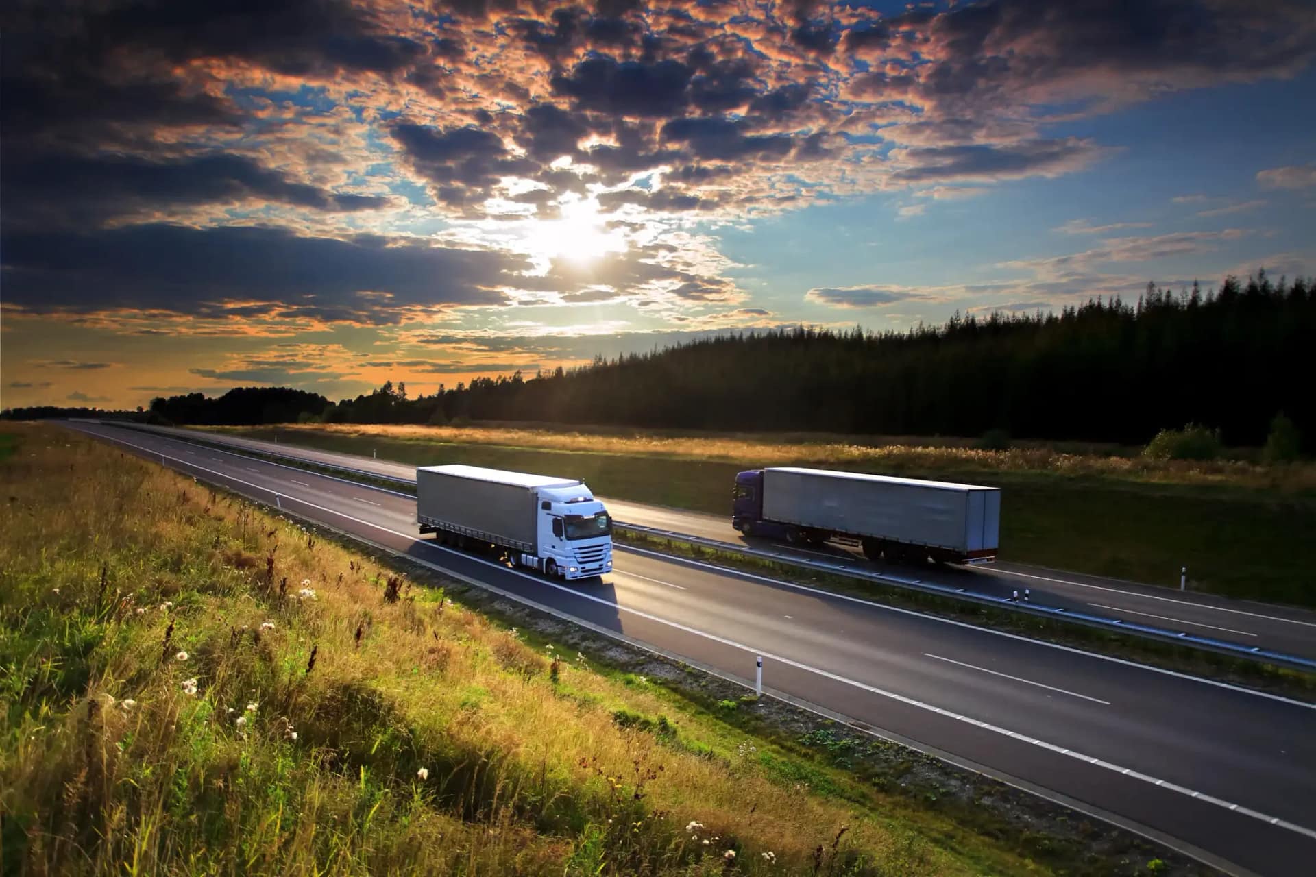 vial trucks freight